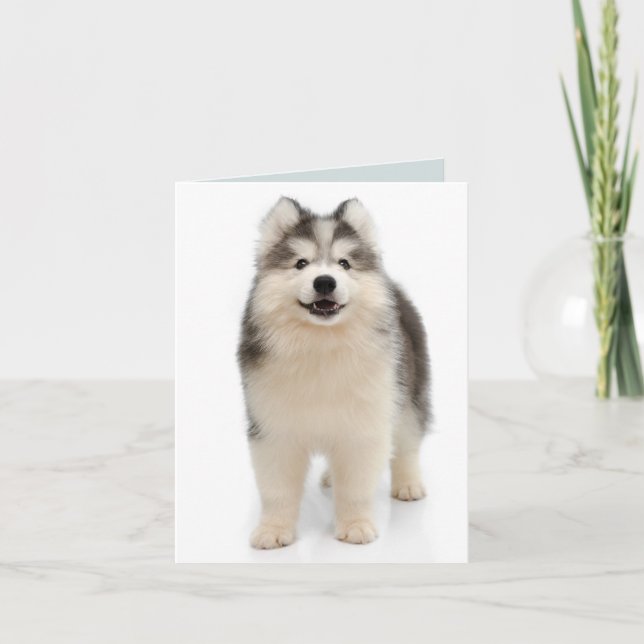 Siberian Husky Puppy Dog Blank Note Card (Front)