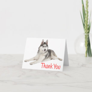 Siberian Husky Puppy Dog Red Thank You - Blank Card