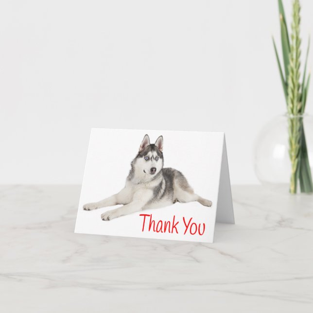 Siberian Husky Puppy Dog Red Thank You - Blank Card (Front)