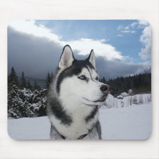 Siberian Husky Puppy Dog Winter  Snow Mouse Pad (Front)