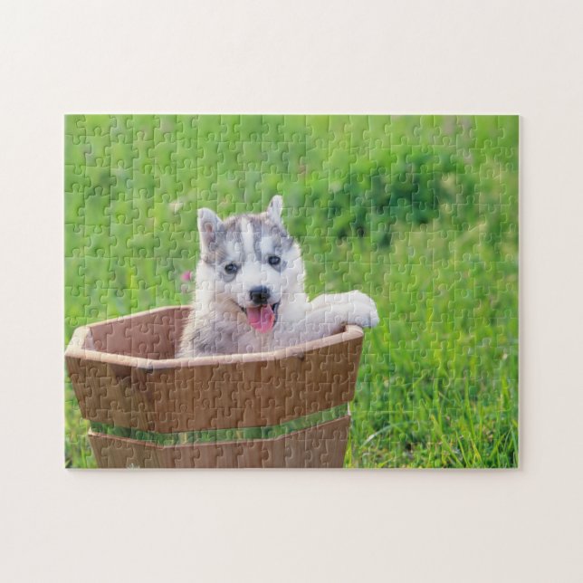 Siberian Husky Puppy in a Pot Jigsaw Puzzle (Horizontal)