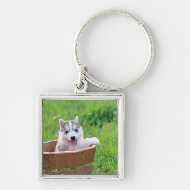 Siberian Husky Puppy in a Pot Key Ring (Front)
