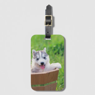 Siberian Husky Puppy in a Pot Luggage Tag