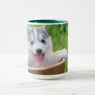 Siberian Husky Puppy in a Pot Mug