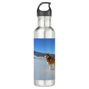 siberian-husky-red and white full 710 ml water bottle