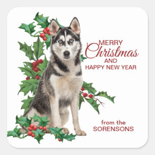 Siberian Husky Red Berry Holly Christmas Square Sticker
