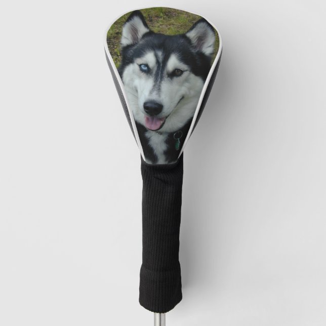 Siberian Husky Smile Golf Head Cover (Front)