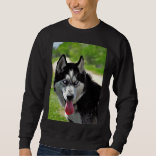 Siberian Husky                              Sweatshirt