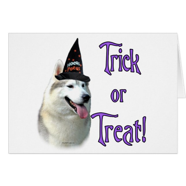 Siberian Husky Trick (Front Horizontal)