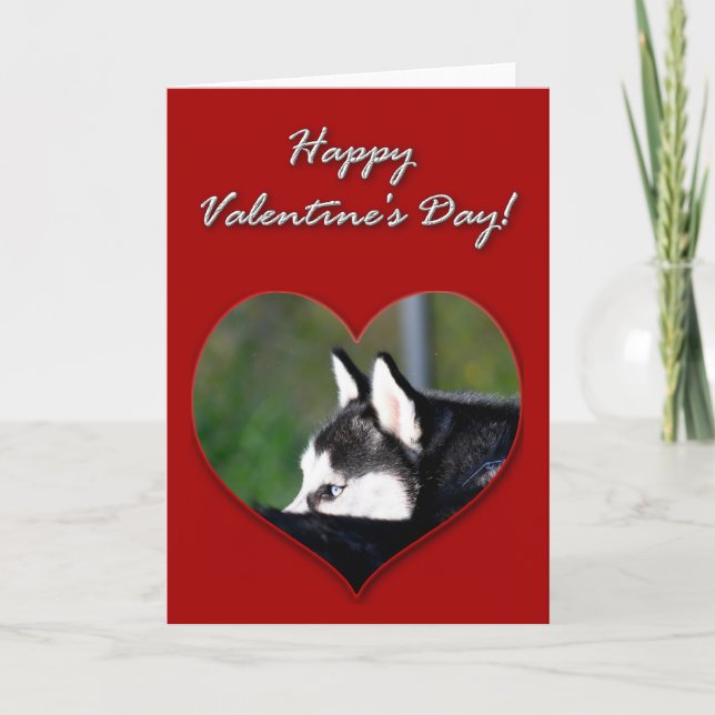 Siberian Husky Valentines Day Card (Front)