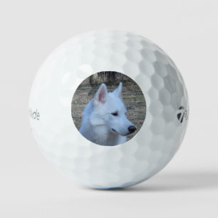 siberian husky white golf balls