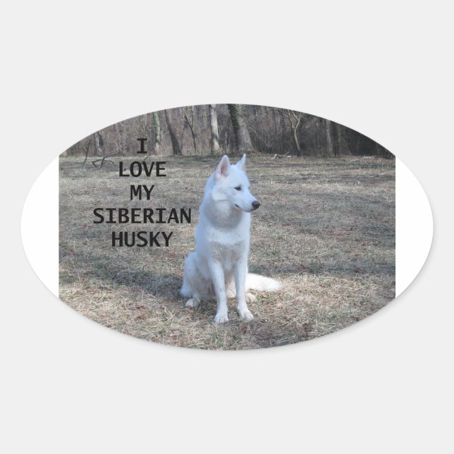 siberian husky white love w pic oval sticker (Front)