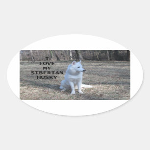 siberian husky white love w pic oval sticker
