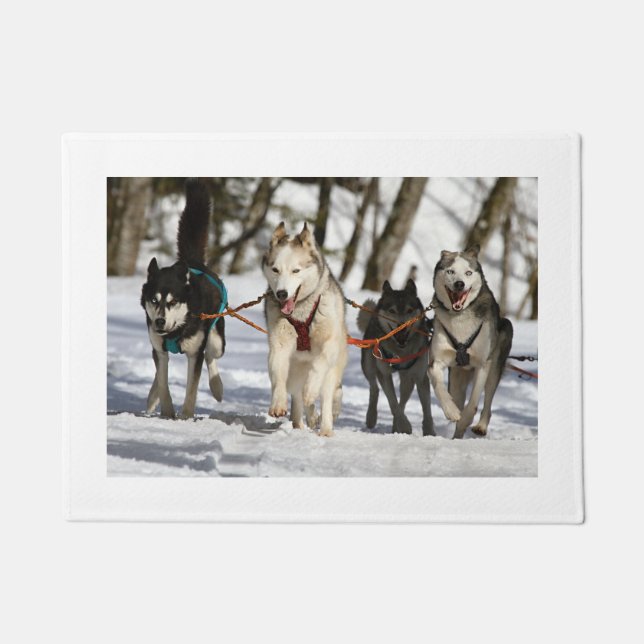 siberian husky working group doormat (Front)