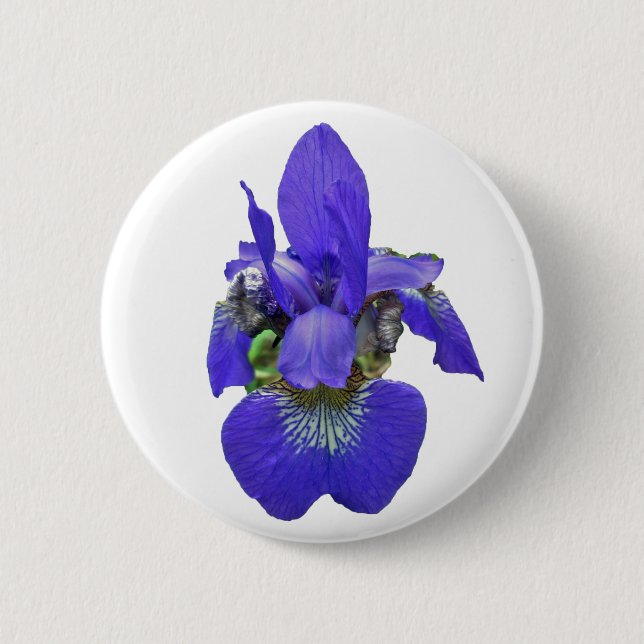 Siberian Iris Coordinating Items 6 Cm Round Badge (Front)