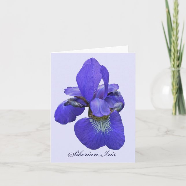 Siberian Iris Note Card (Front)