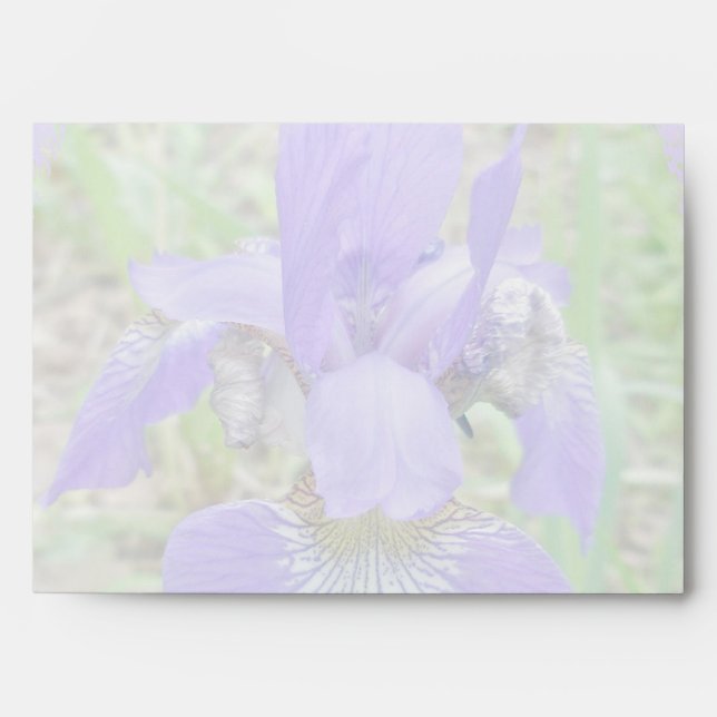 Siberian Iris Wildflower - Iris sibirica Envelope (Front)
