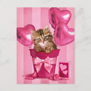 Siberian Kitten Postcard