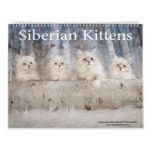 Siberian Kittens Calendar