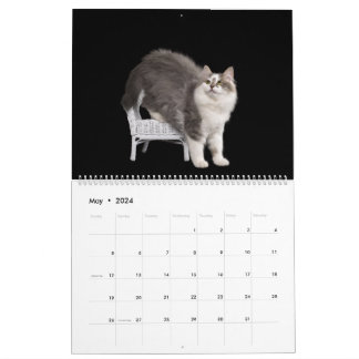 Siberian Kittens Calendar