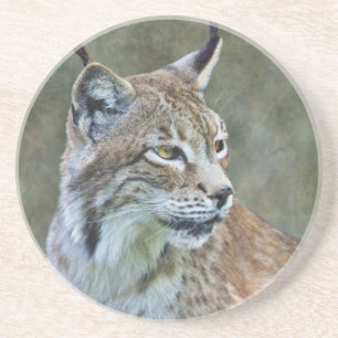Siberian Lynx Coaster