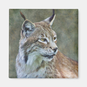 Siberian Lynx Magnet