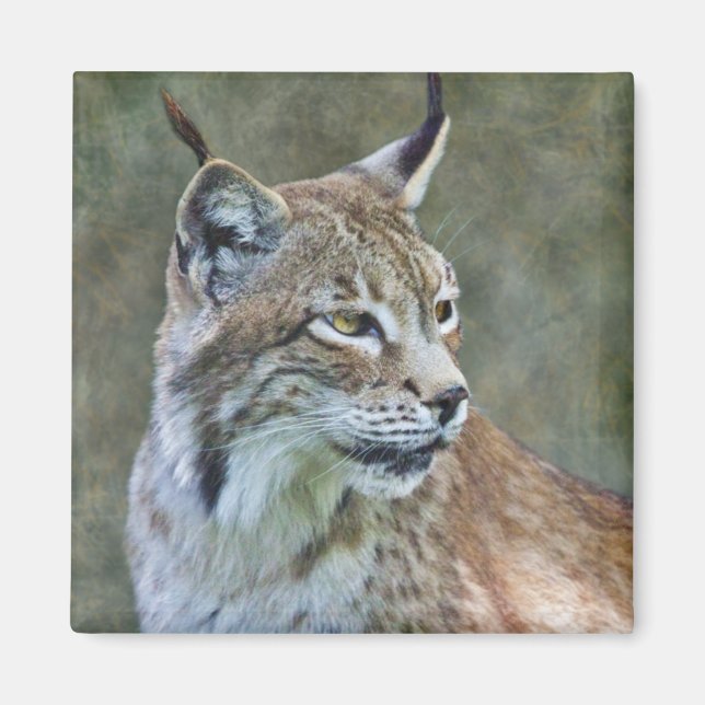 Siberian Lynx Magnet (Front)