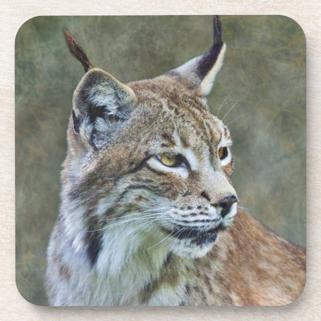 Siberian Lynx Set of 6 Coasters (Front)
