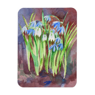 Siberian squill blue spring flower painting magnet
