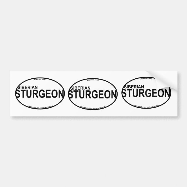 Siberian Sturgeon Euro Stickers (Front)