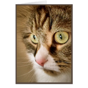 Siberian Thoughts (Blank Card)