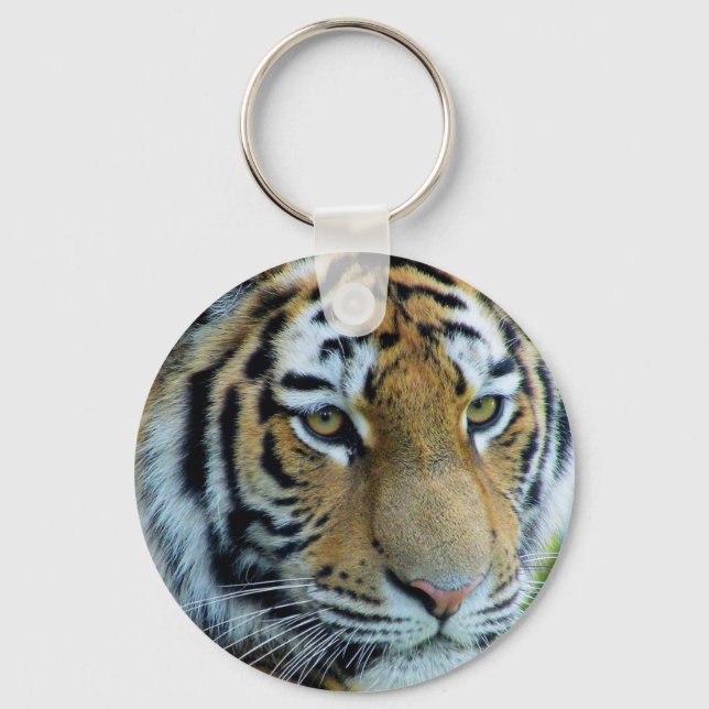 Siberian Tiger, Amur Tiger Keychain (Front)