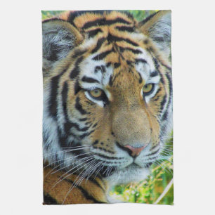 Siberian Tiger, Amur Tiger Kitchen Towel