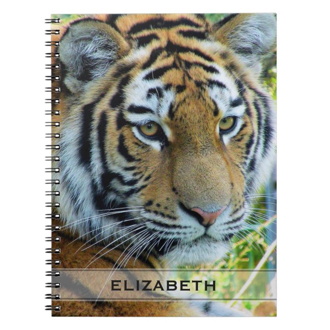 Siberian Tiger, Amur Tiger Notebook (Front)