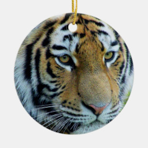 Siberian Tiger, Amur Tiger Ornament
