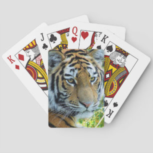 Siberian Tiger, Amur Tiger Playing Cards