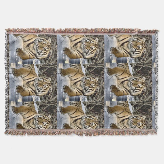 Siberian Tiger At Rest Throw Blanket (Front)