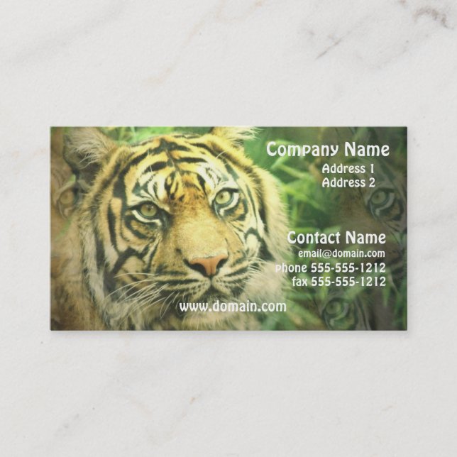 Siberian Tiger Business Card (Front)