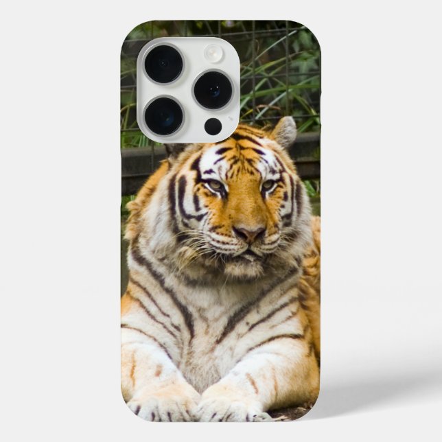 Siberian Tiger Case-Mate iPhone Case (Back)