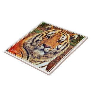 Siberian Tiger Ceramic Tile