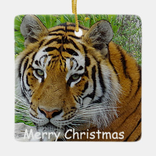 Siberian Tiger Closeup Photo of Face Ceramic Ornament