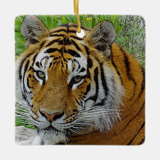 Siberian Tiger Closeup Photo of Face Ceramic Tree Decoration