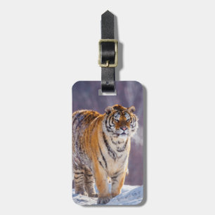 Siberian tiger in snow, China Luggage Tag
