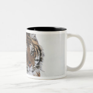Siberian Tiger In Snow Two-Tone Coffee Mug