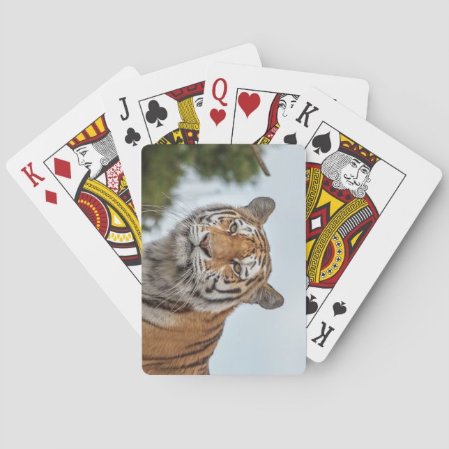 Siberian Tiger in the Wild Playing Cards (Back)