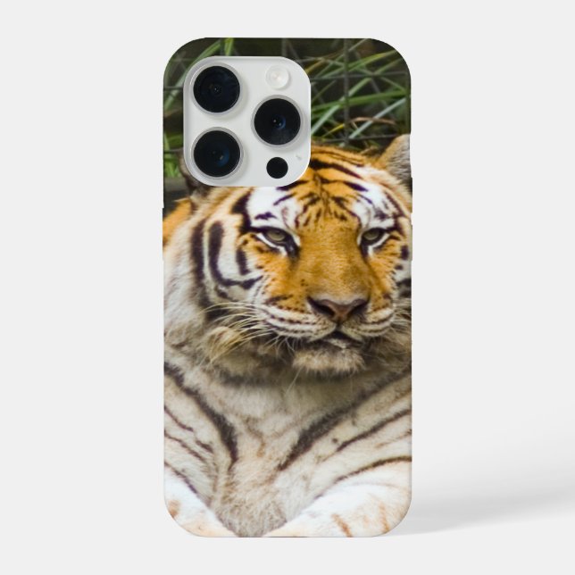 Siberian Tiger iPhone Case (Back)