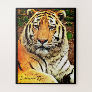 Siberian Tiger Jigsaw Puzzle