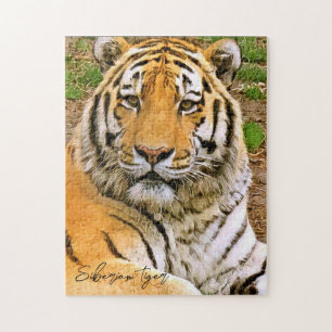 Siberian Tiger Jigsaw Puzzle