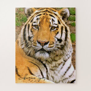 Siberian Tiger Jigsaw Puzzle