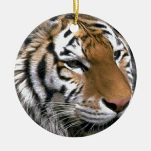 Siberian Tiger Lovers Art Ceramic Ornament